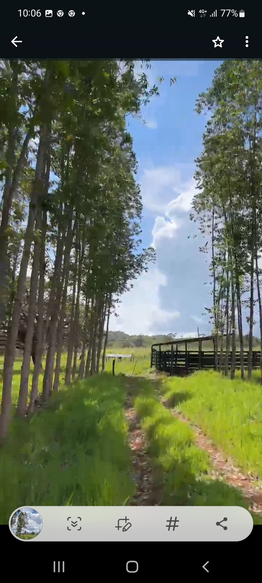 Terreno 27,5 Hectares em Almécegas, 25 Km de Brazlandia-DF - PADRE BERNARDO - GO