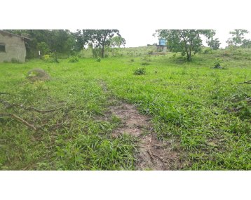 Região de Mimoso -Goiás. Fazenda 7,6 Alqueires